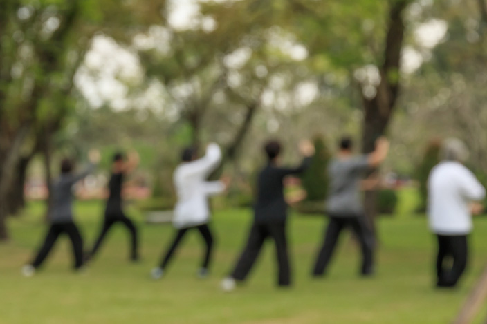 Tai Chi Tai Chi